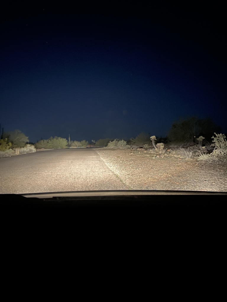 Cholla cactus next to a road resembling an animal