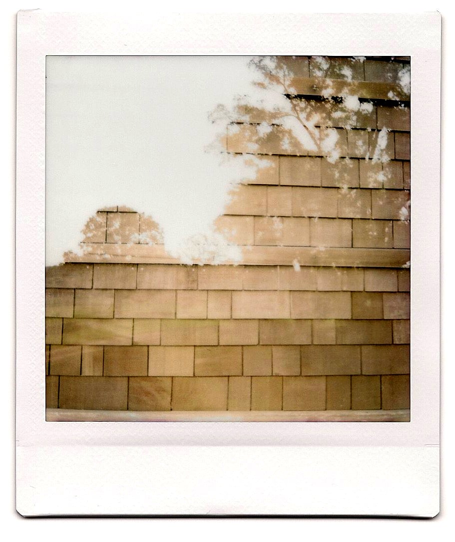 Double exposure of Tan-y-Deri with surrounding trees